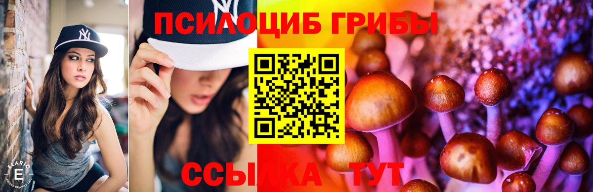 Псилоцибиновые грибы Magic Shrooms Жуковский