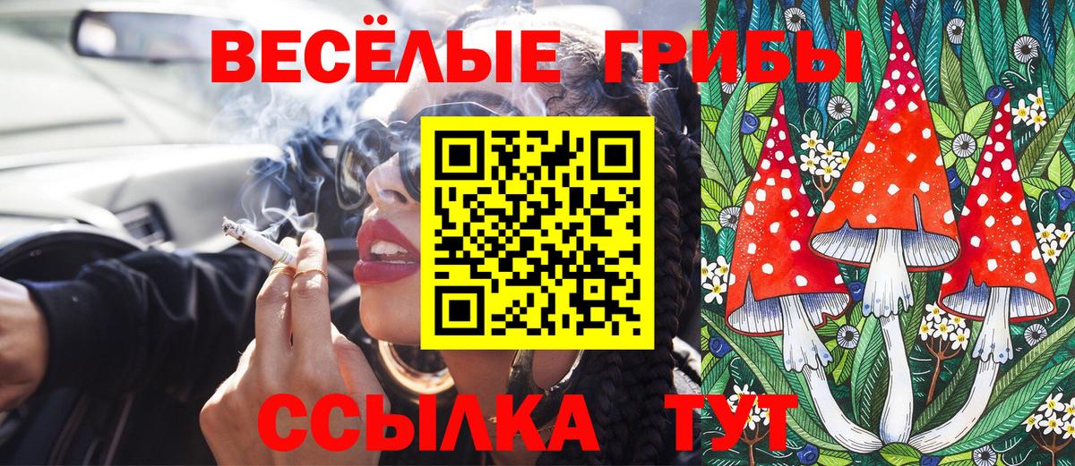 Жуковский  Псилоцибиновые грибы Magic Shrooms  Вход с VPN 